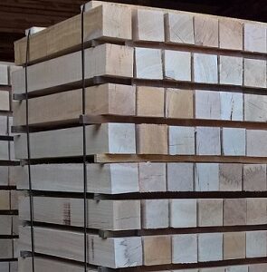 BUCHE - 100x100x980
